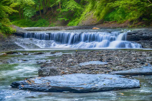 Hiking Erie, PA (Fall Favorites)